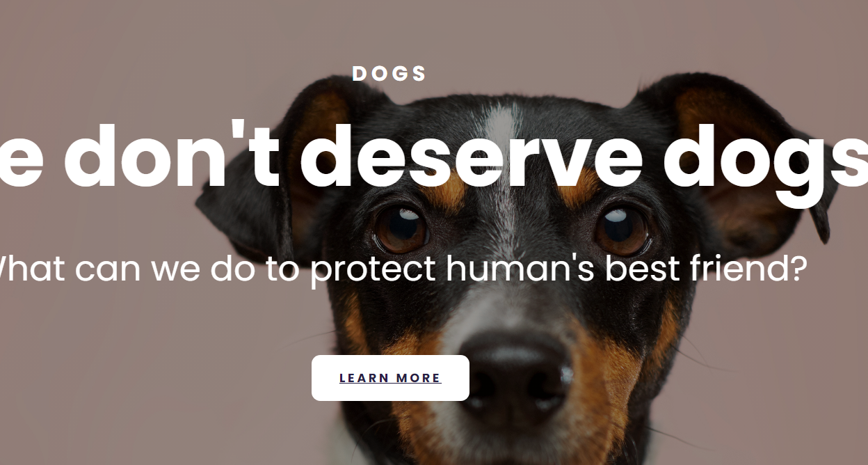 Responsive Website Dogs